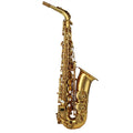 Alto Saxophone Set O70873