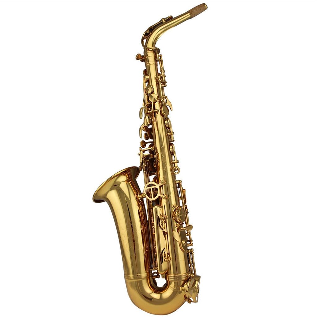 Alto Saxophone Set O70873