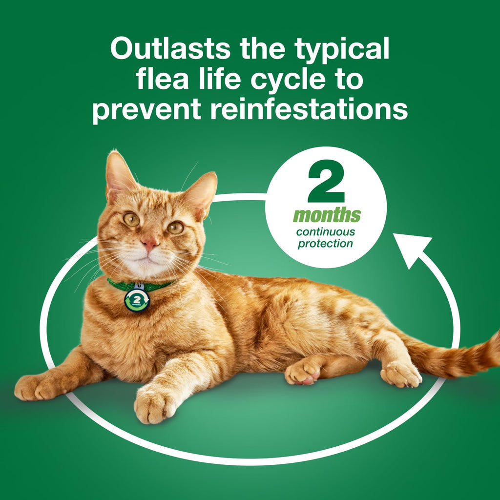 Large Cat Topical Flea Treatment & Prevention 1ct J641