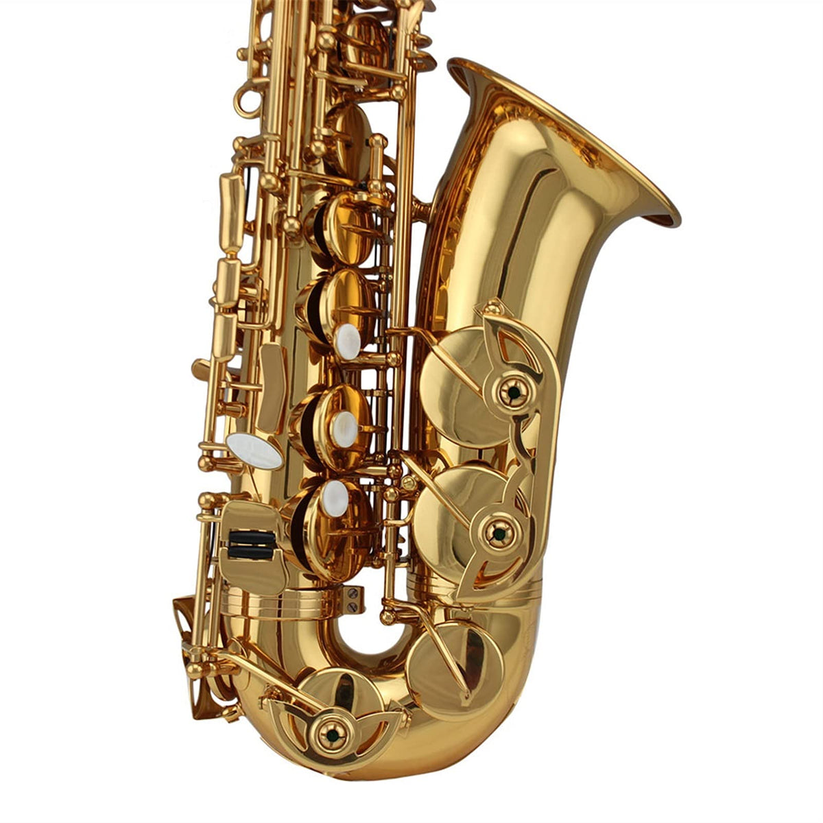 Alto Saxophone Set O70873