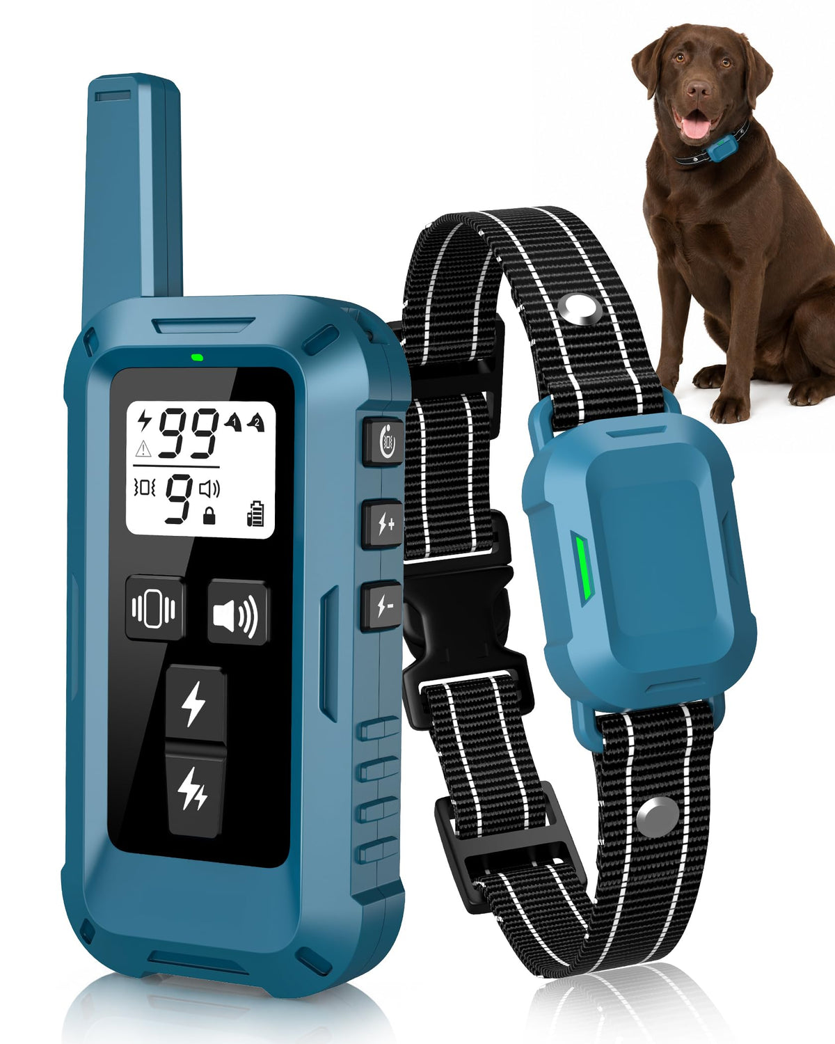 Dog Training Collar with Remote D53806