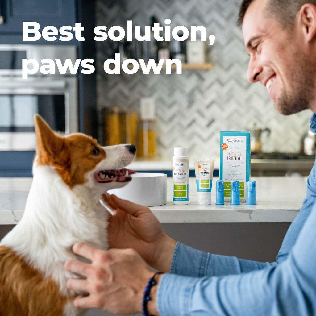 Pet Dental Kit 4oz Toothpaste + 16oz Water Additive M7063