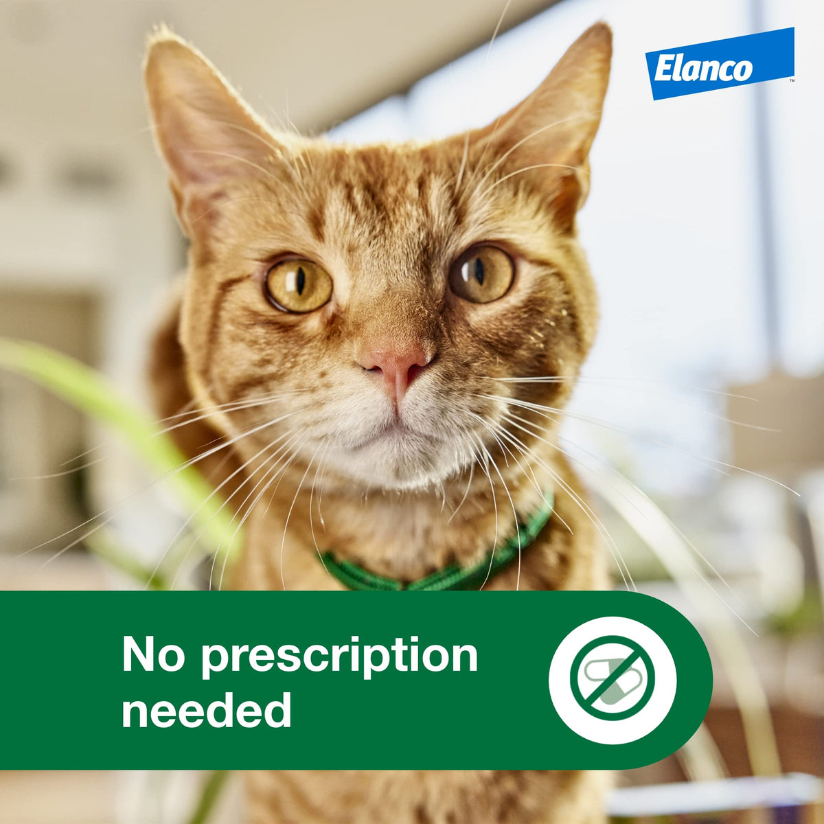Large Cat Topical Flea Treatment & Prevention 1ct J641