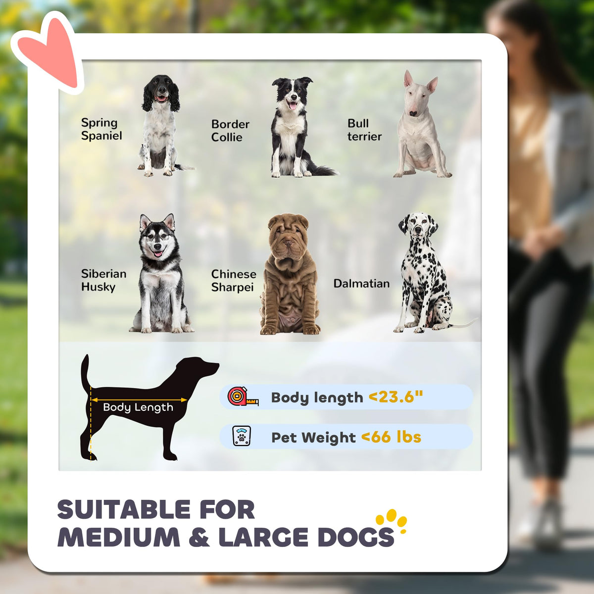 Foldable Dog Stroller with Storage Gray L764324