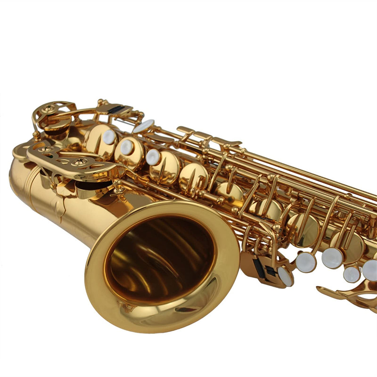 Alto Saxophone Set O70873