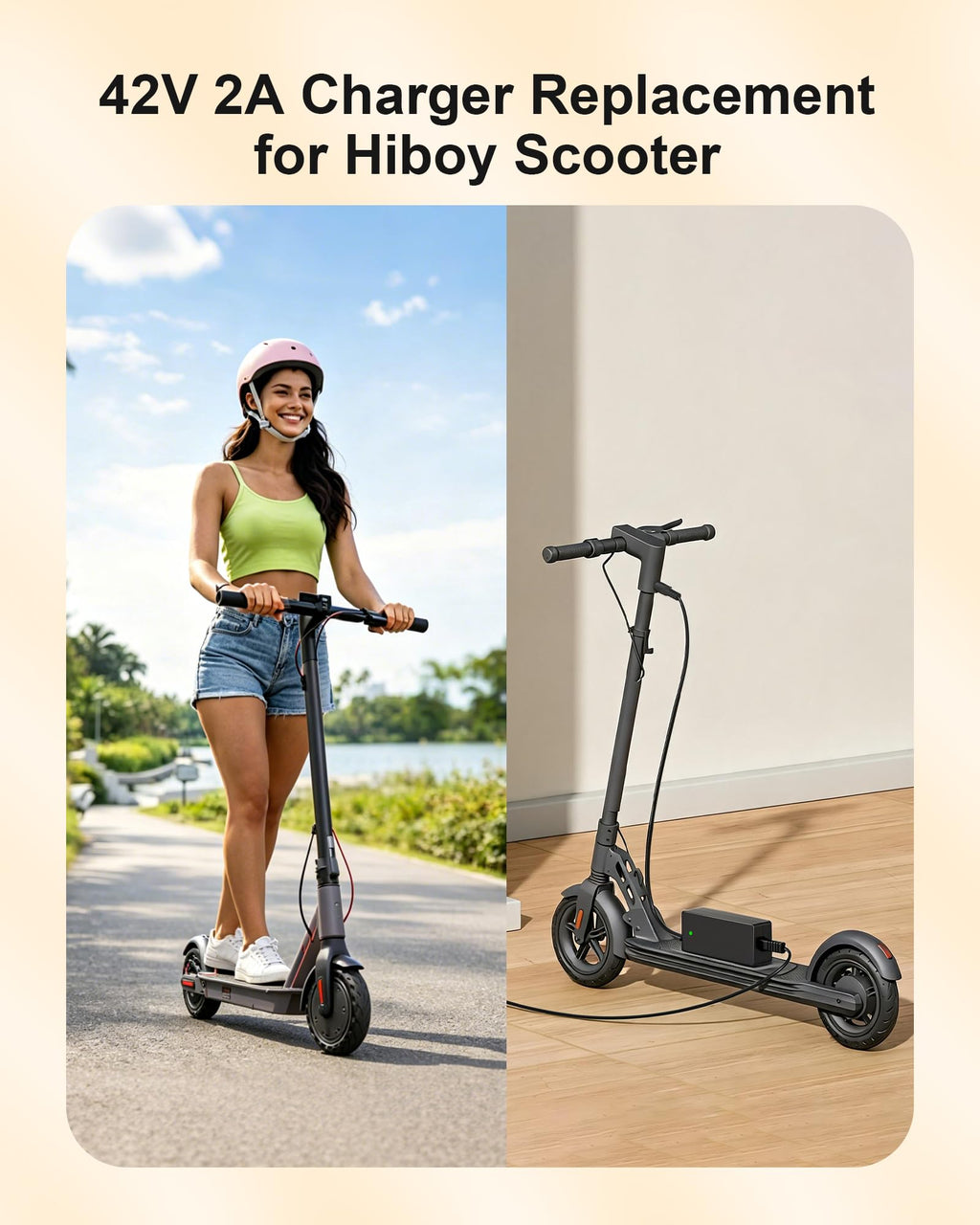 42V Electric Scooter Charger P667144