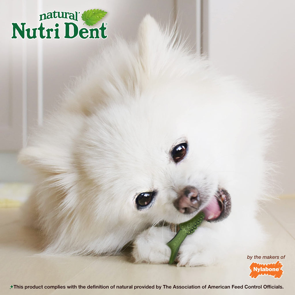Natural Dog Dental Chews Mini 32 Count D477356