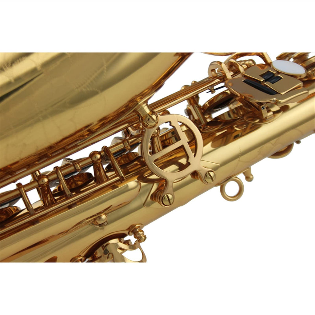 Alto Saxophone Set O70873