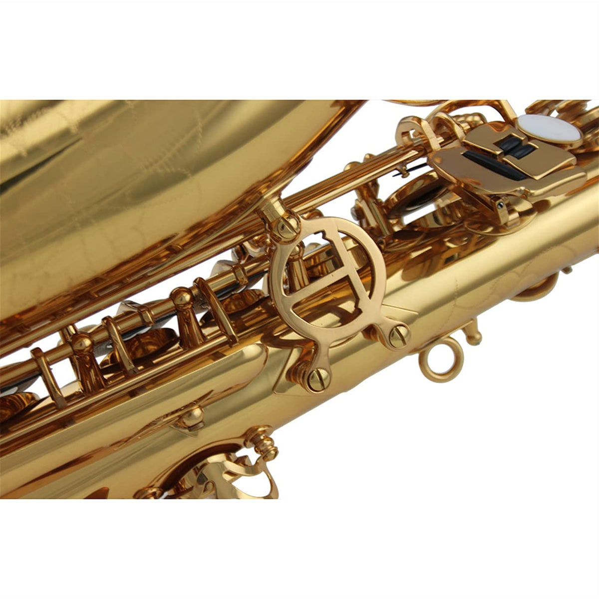 Alto Saxophone Set O70873