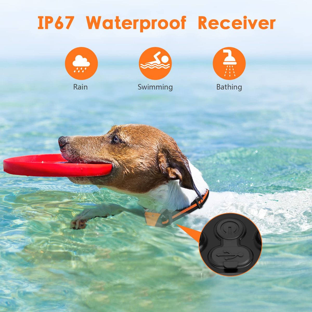 Dog Training Collar with Remote, 3 Modes W758245
