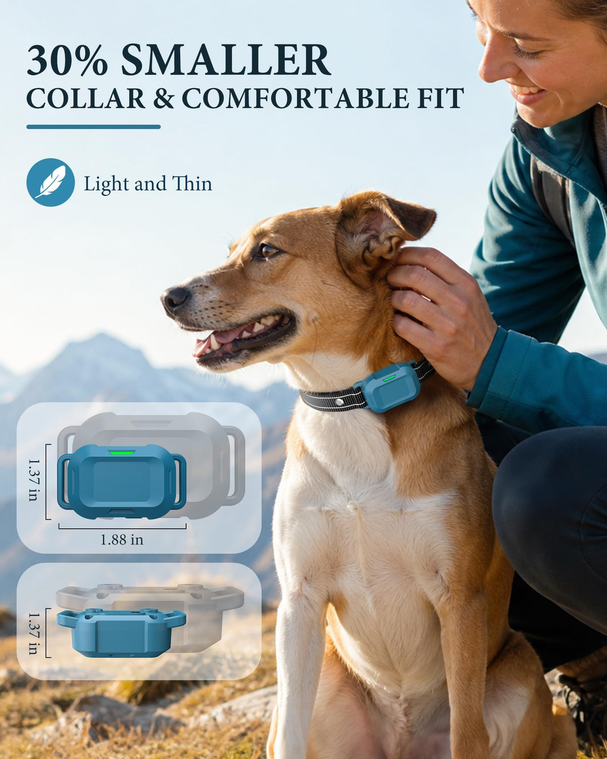 Dog Training Collar with Remote D53806