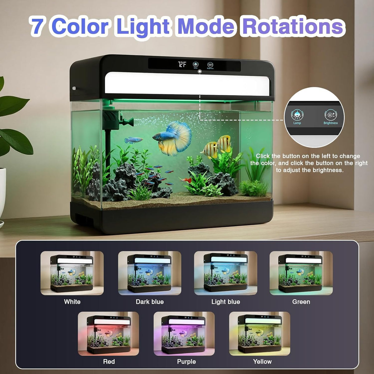 3 Gallon Fish Tank Starter Kit S524964