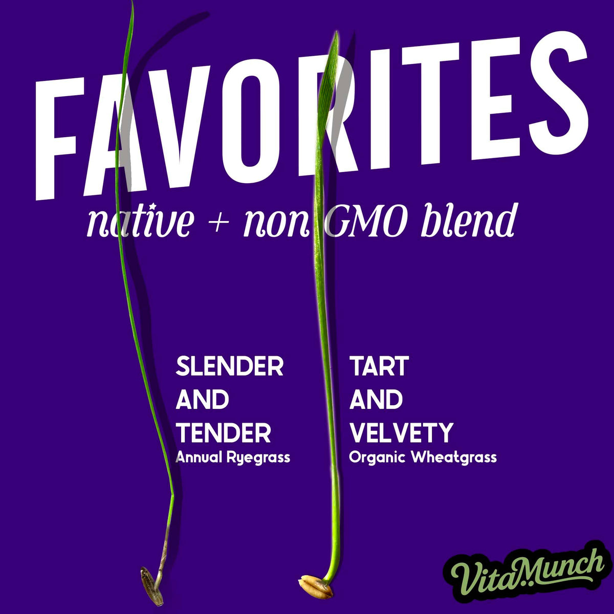 Cat Grass Seed Non-GMO Blend W89438