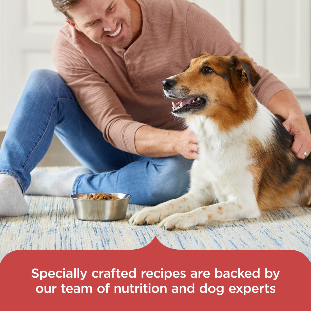 Salmon Dry Dog Food 26 lb. Bag A87152