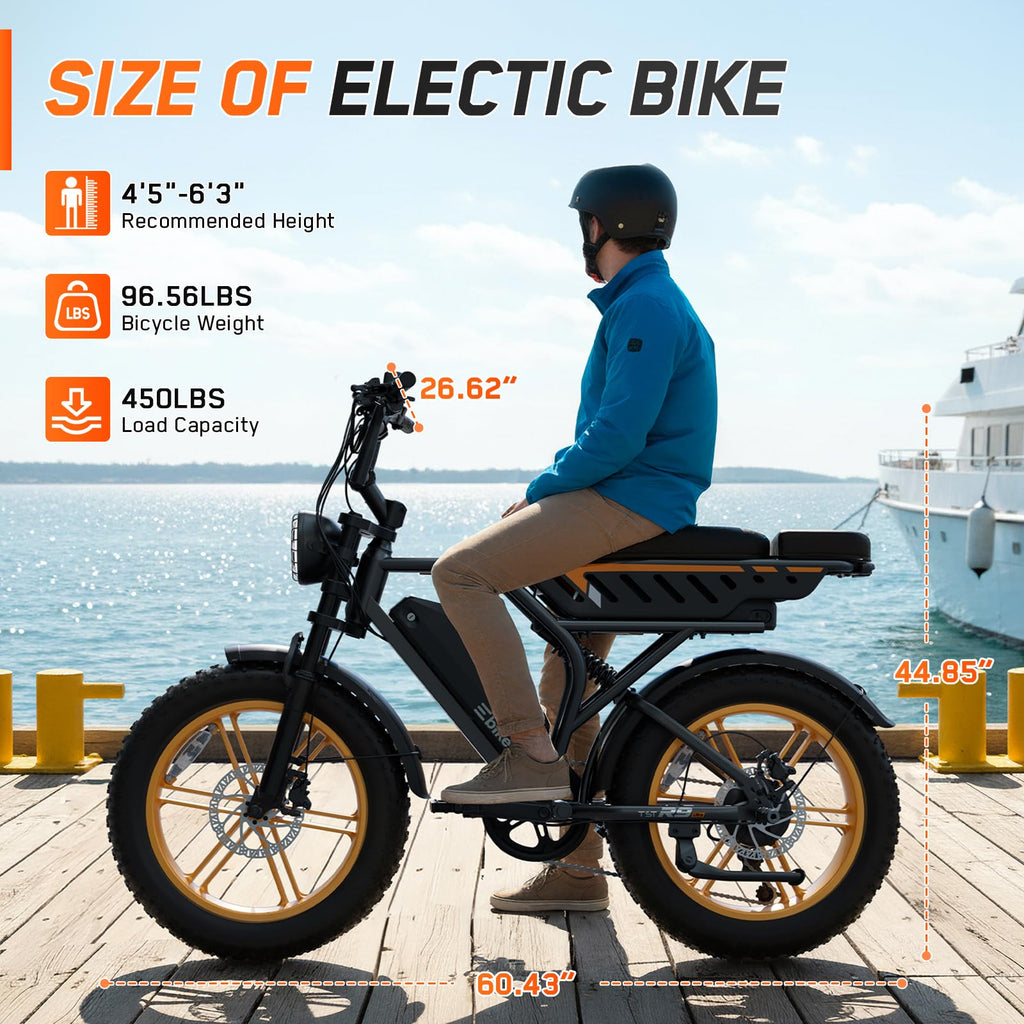 Electric Bike 48V Removable Battery Q952825