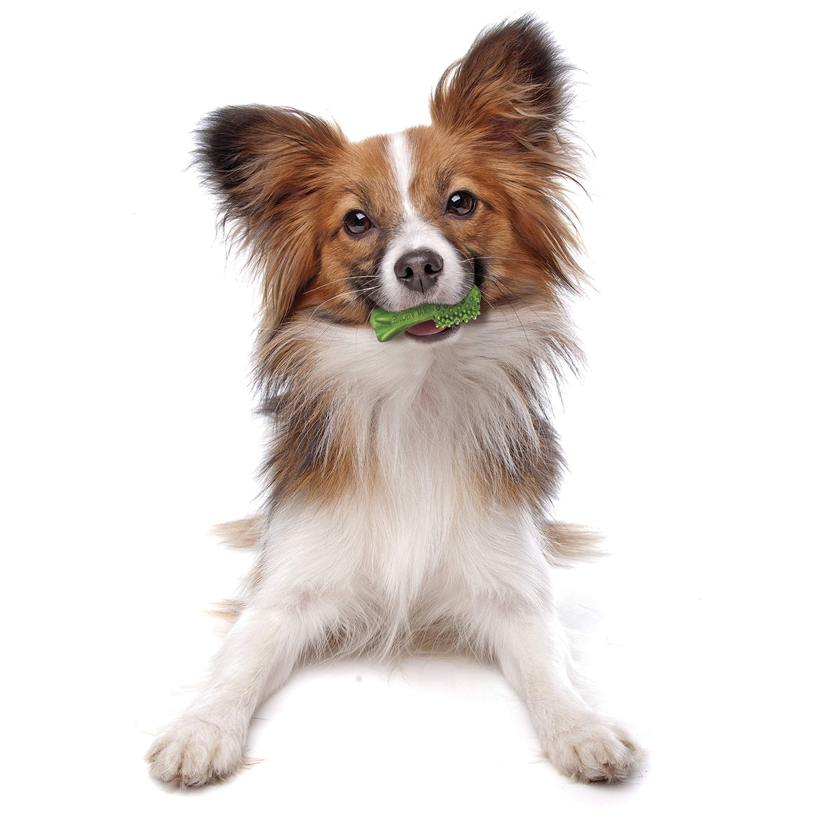 Natural Dog Dental Chews Mini 32 Count D477356