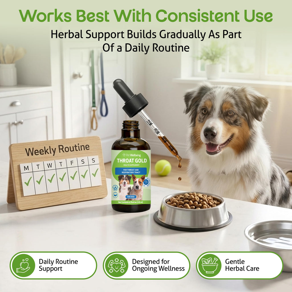 Throat Discomfort & Immune Care for Dogs, 4 oz E251262