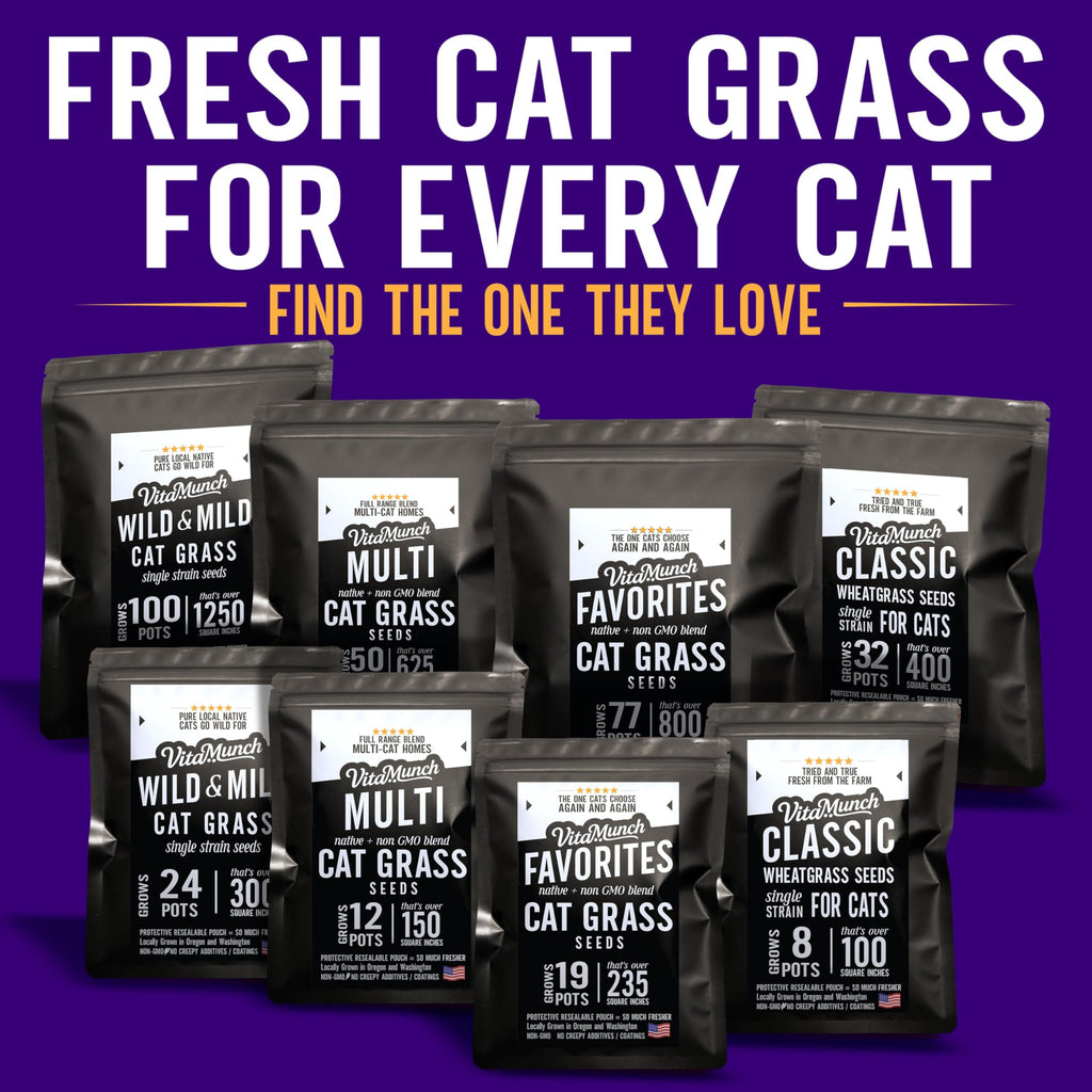 Cat Grass Seed Non-GMO Blend W89438