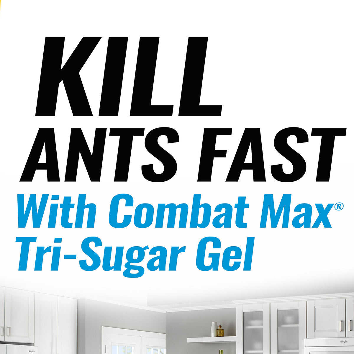 Ant Killing Gel Bait Station 4 Count W329