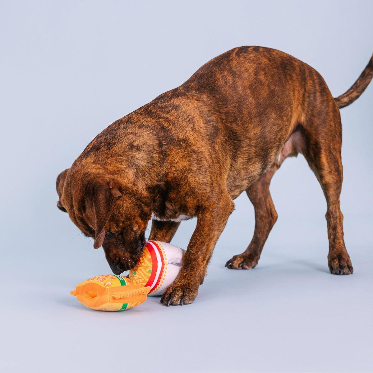 Plush Dog Toy Set with Treat Pockets, 2 Piece Set B640352