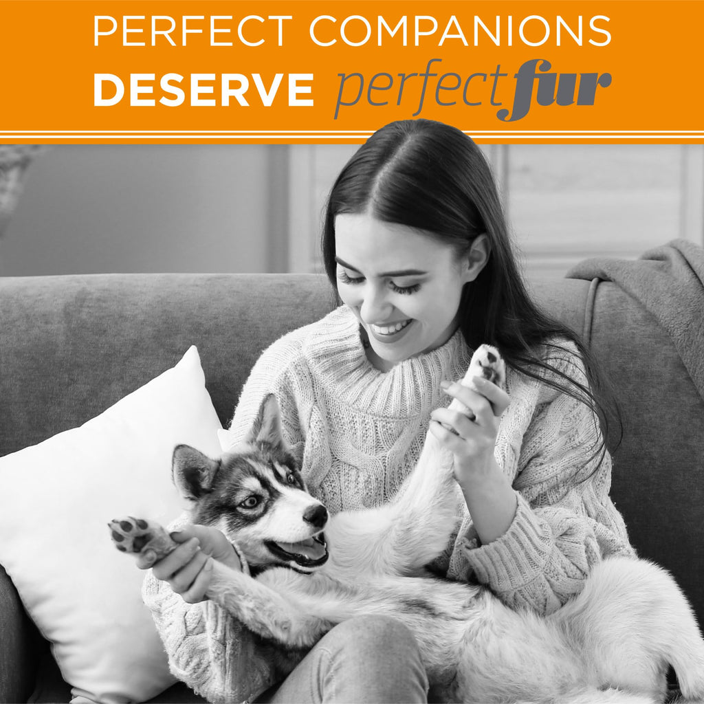 16oz Detangling & Deshedding Shampoo Z374