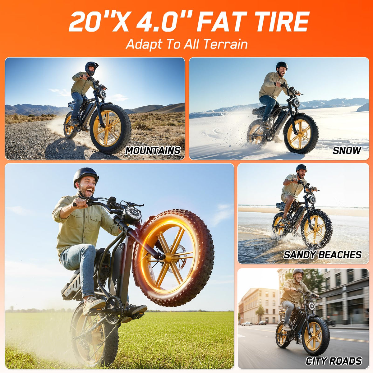 Electric Bike 48V Removable Battery Q952825