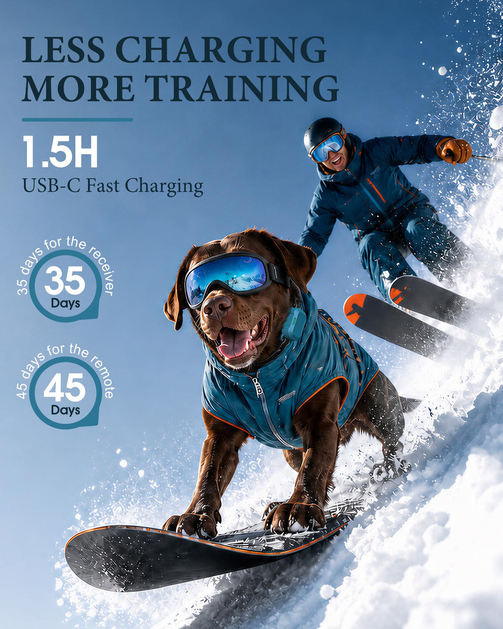 Dog Training Collar with Remote D53806