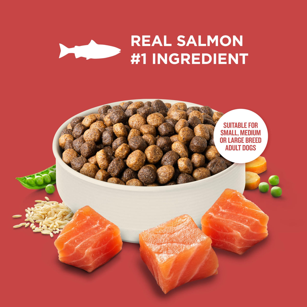 Salmon Dry Dog Food 26 lb. Bag A87152