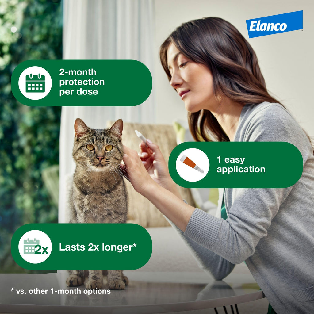 Large Cat Topical Flea Treatment & Prevention 1ct J641
