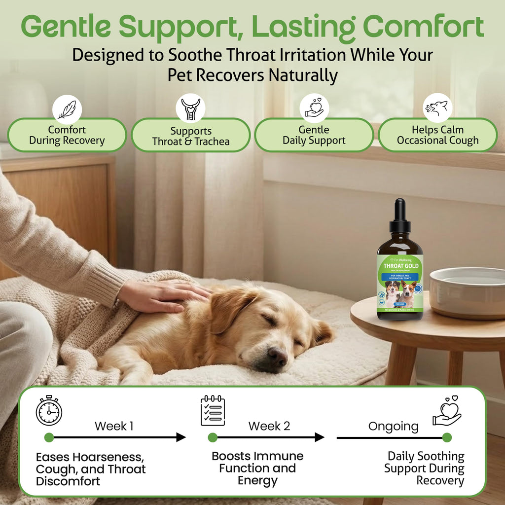 Throat Discomfort & Immune Care for Dogs, 4 oz E251262