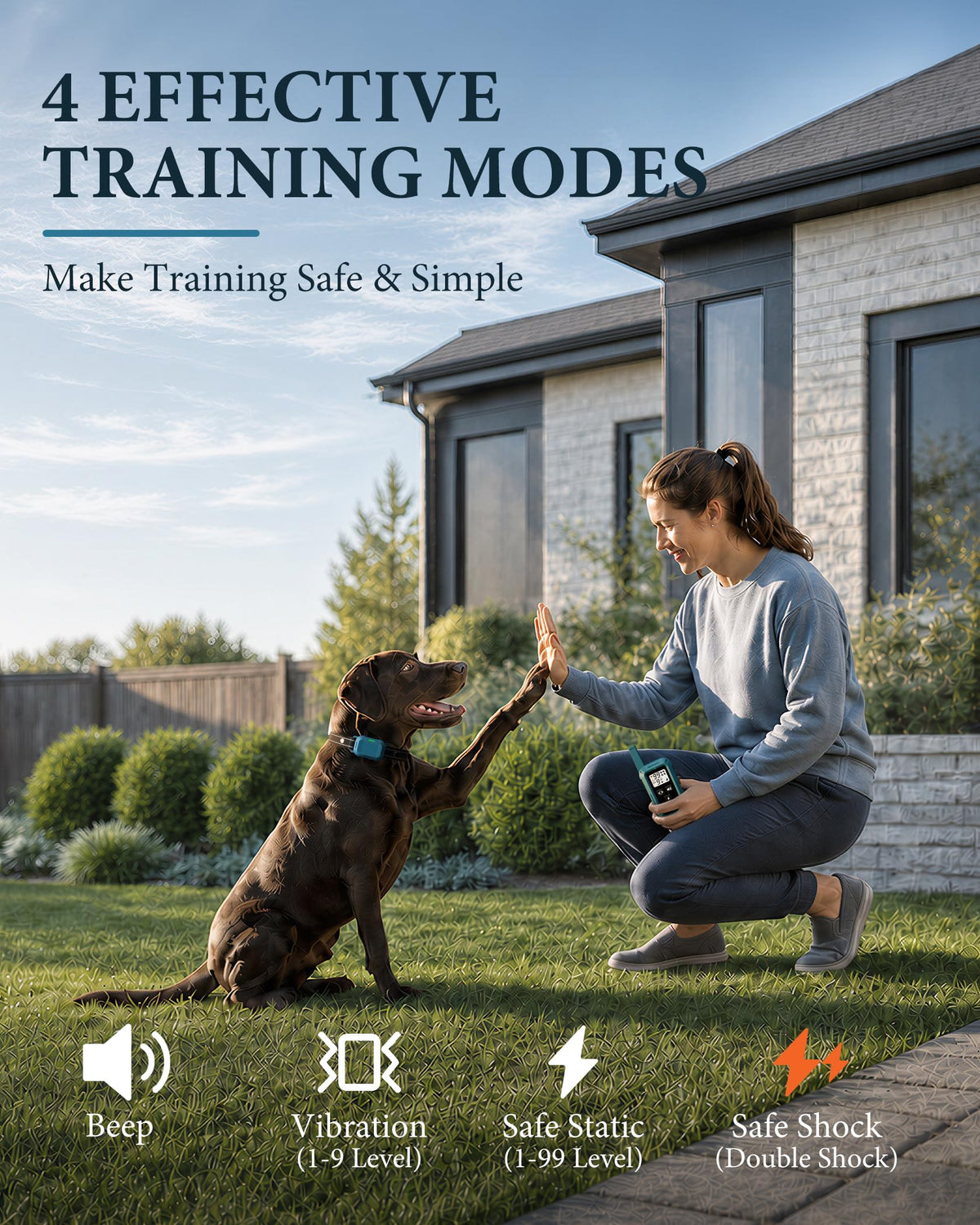 Dog Training Collar with Remote D53806