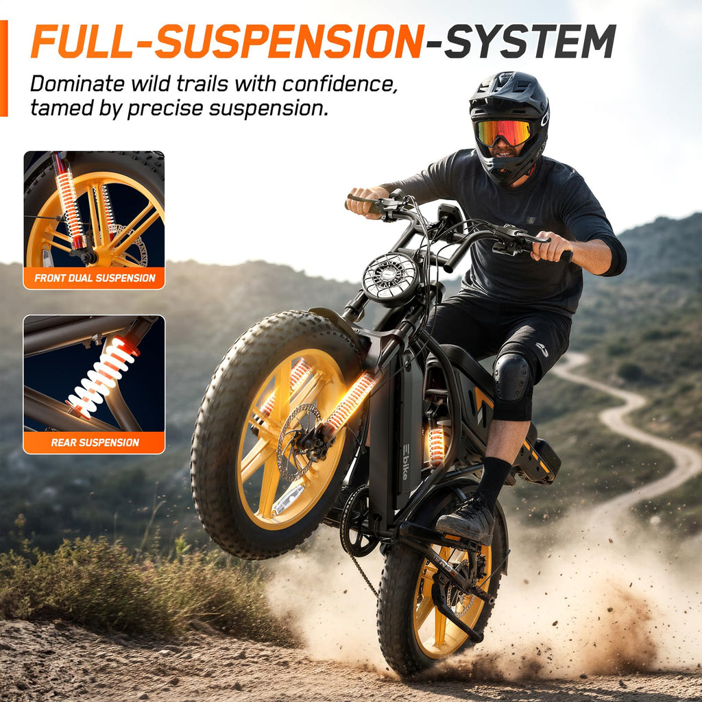 Electric Bike 48V Removable Battery Q952825