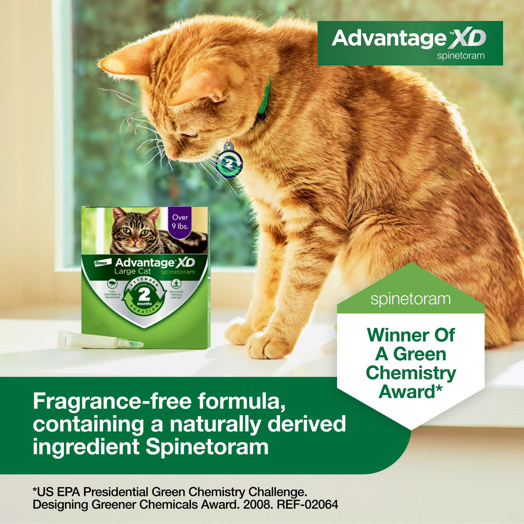 Large Cat Topical Flea Treatment & Prevention 1ct J641