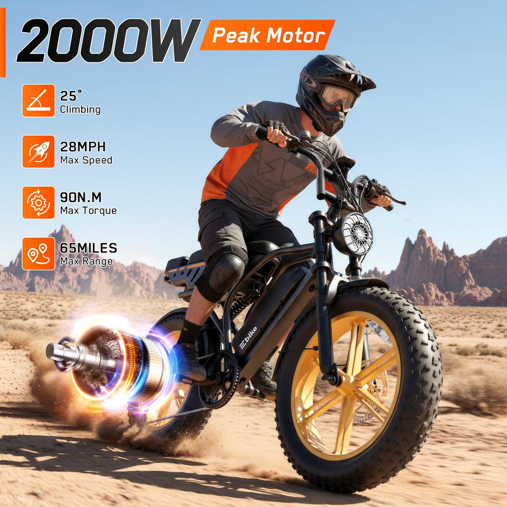 Electric Bike 48V Removable Battery Q952825