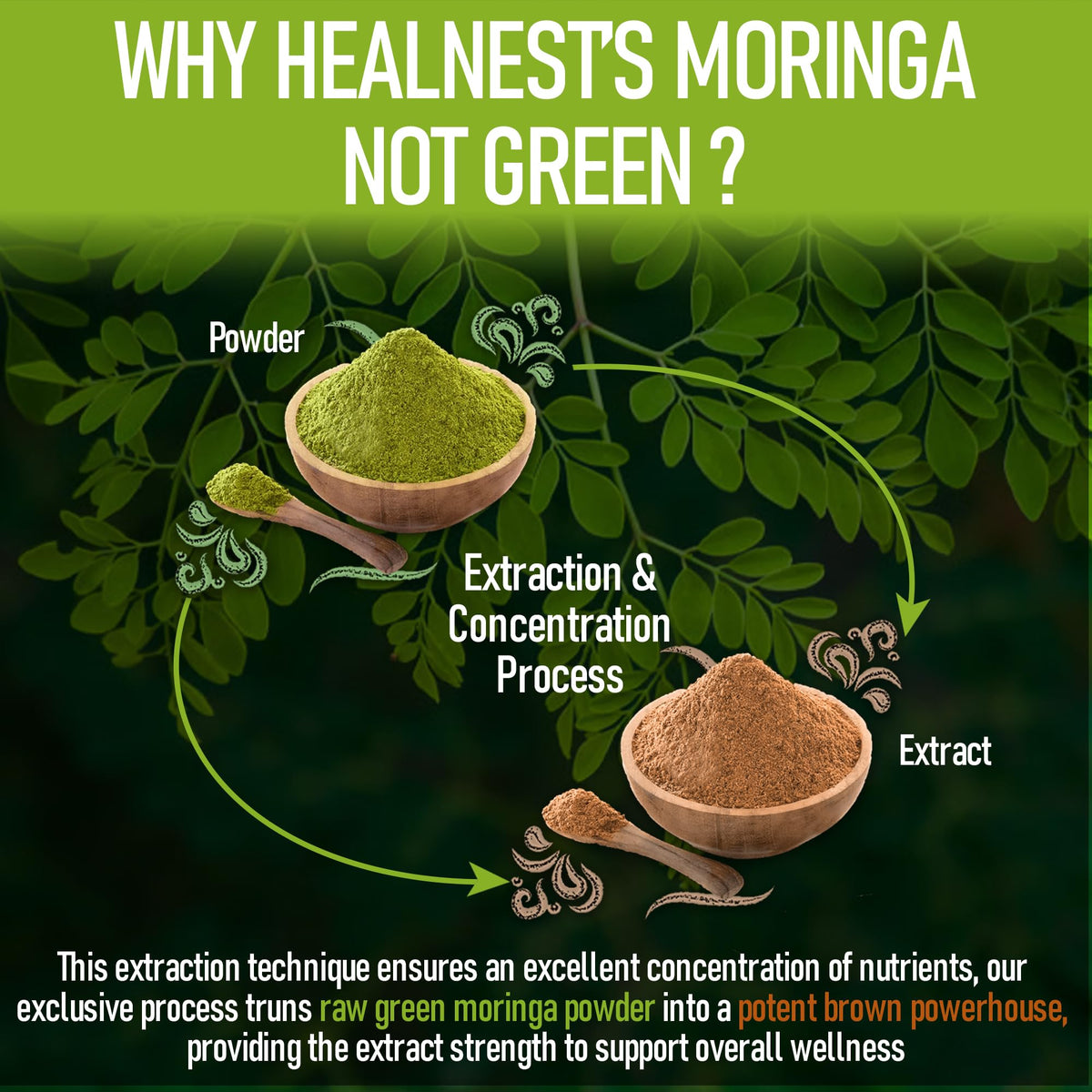 Moringa Extract Capsules 20:1 120 Capsules Vegan Z633