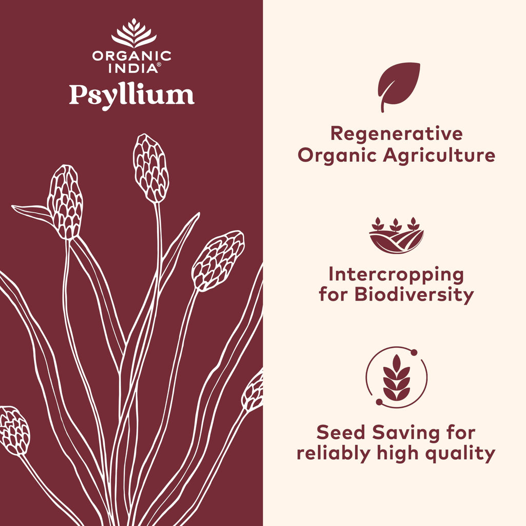 Psyllium Husk Capsules Fiber Supplement Vegan 180 Count L1226