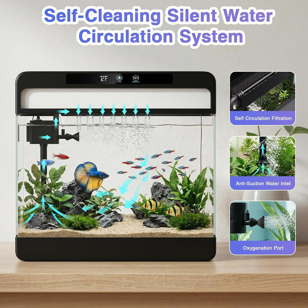 3 Gallon Fish Tank Starter Kit S524964