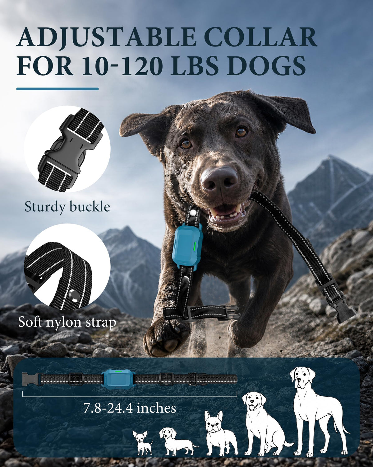 Dog Training Collar with Remote D53806
