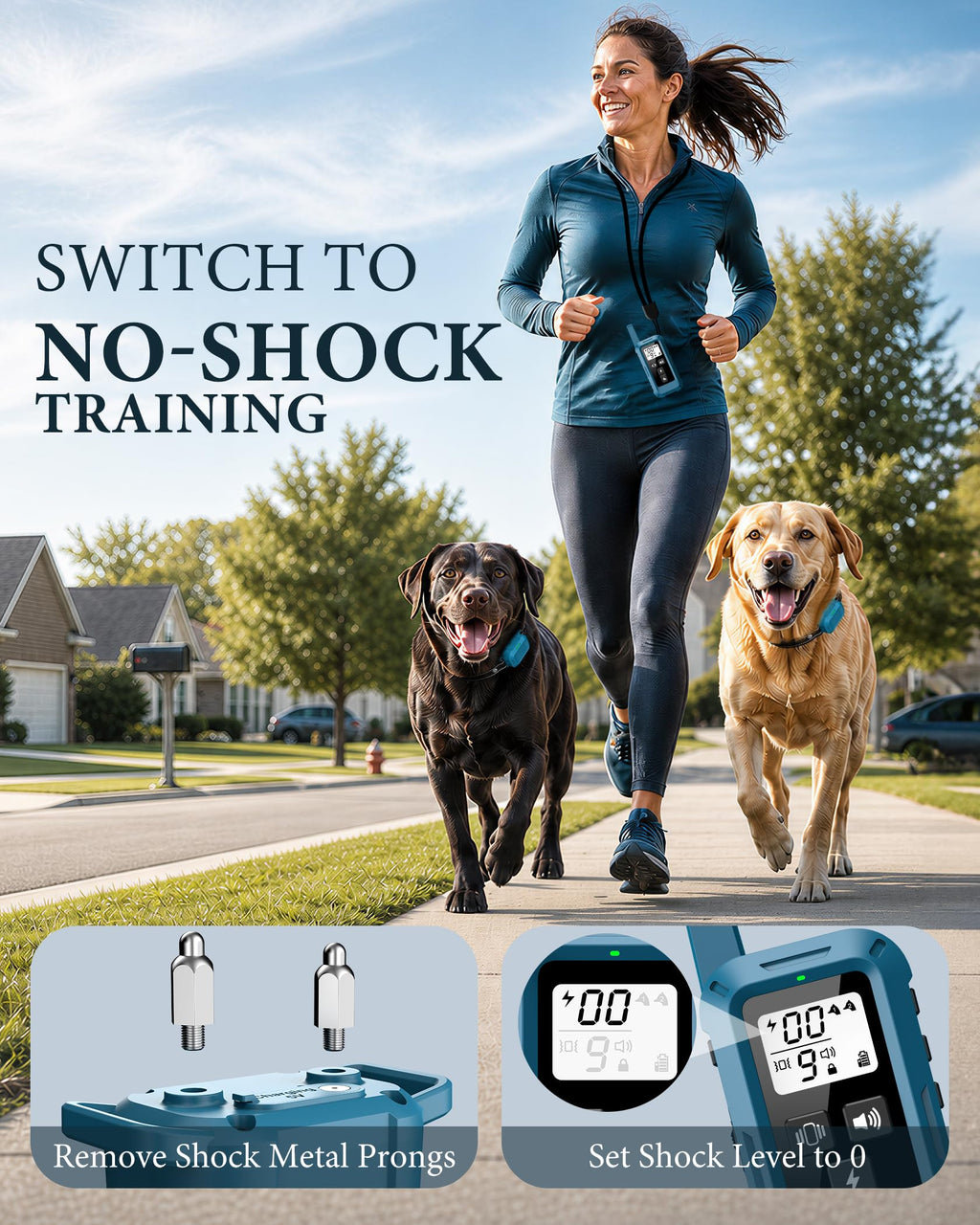Dog Training Collar with Remote D53806