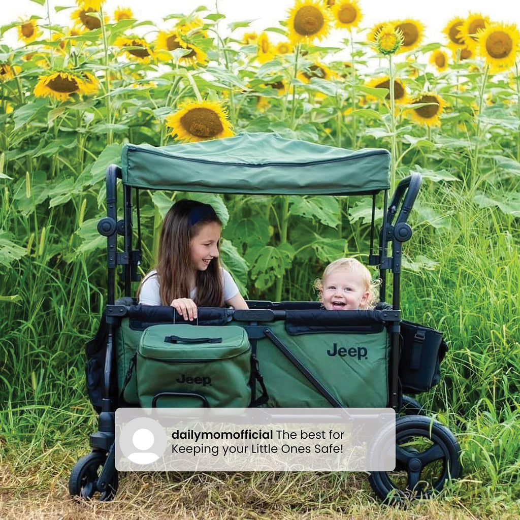 Black/Green Stroller Wagon with Cooler Bag Y87842