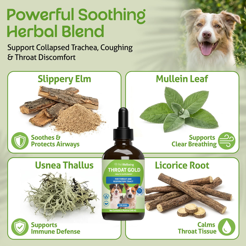 Throat Discomfort & Immune Care for Dogs, 4 oz E251262